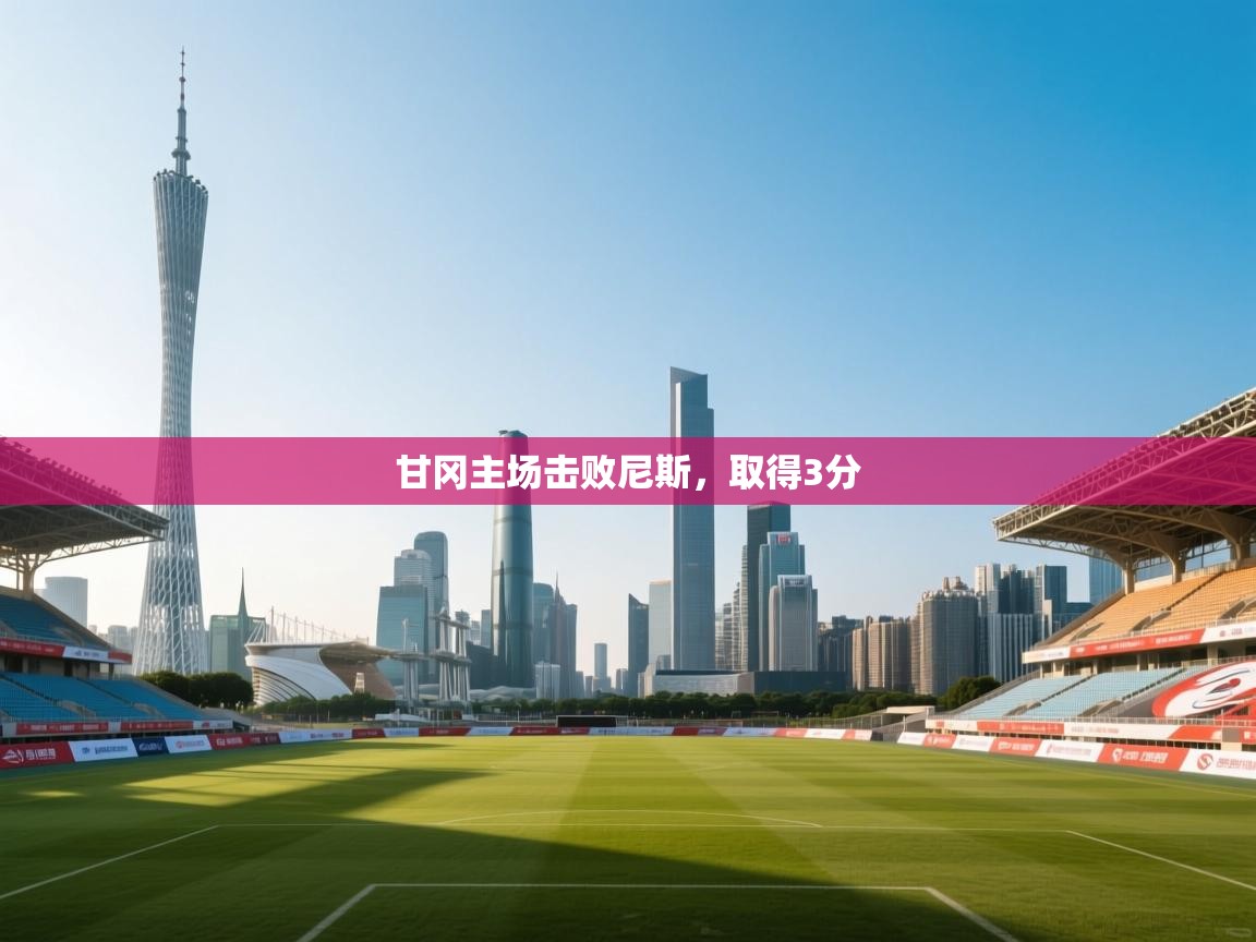 甘冈主场击败尼斯，取得3分  第1张