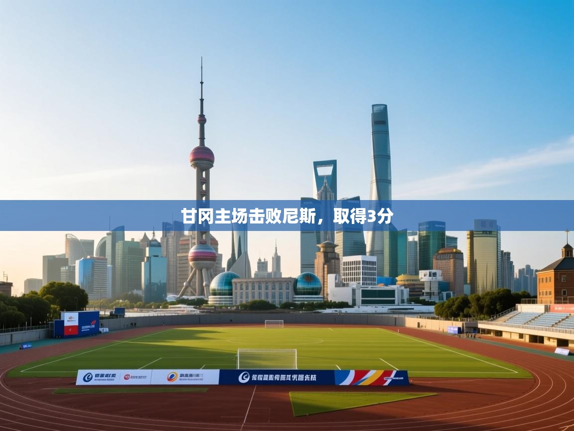 甘冈主场击败尼斯，取得3分  第2张