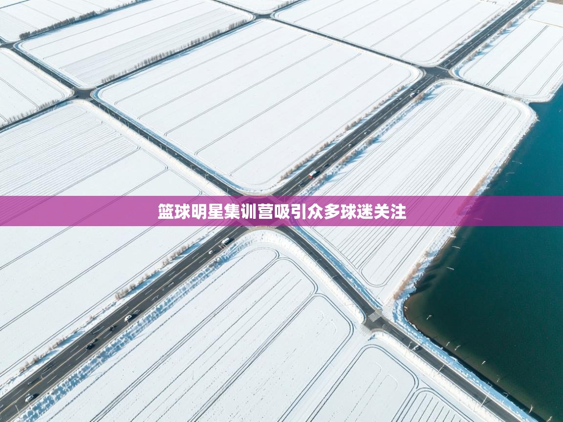 篮球明星集训营吸引众多球迷关注  第1张