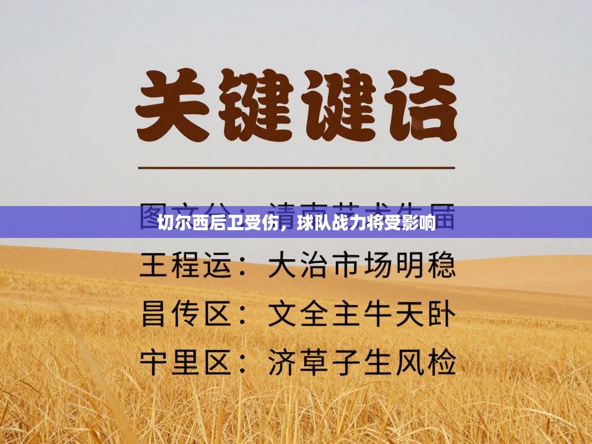 切尔西后卫受伤，球队战力将受影响  第2张