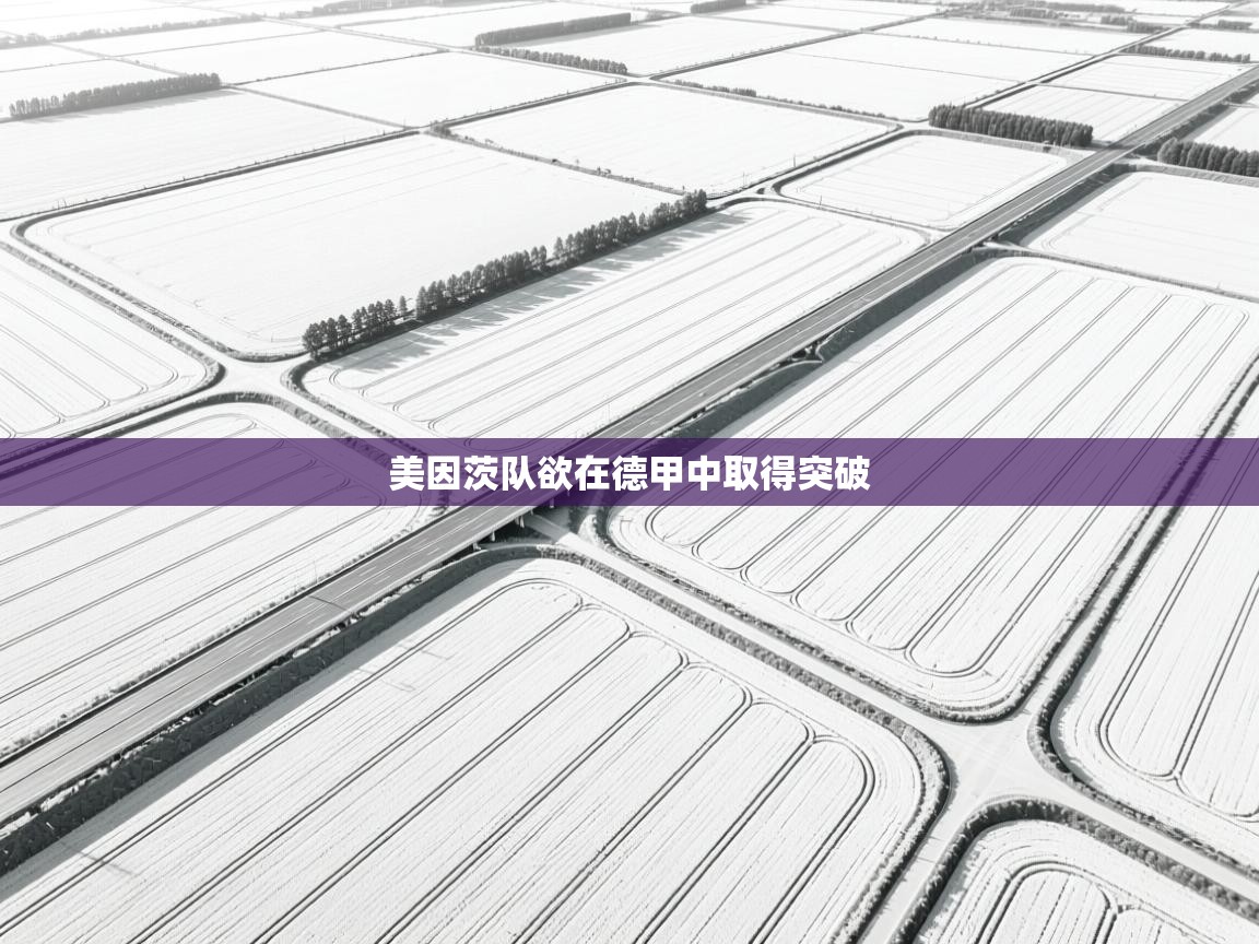 美因茨队欲在德甲中取得突破  第1张