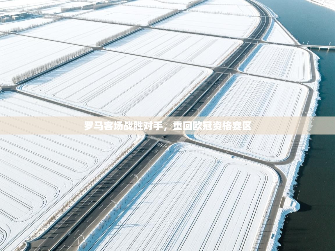 罗马客场战胜对手，重回欧冠资格赛区  第1张